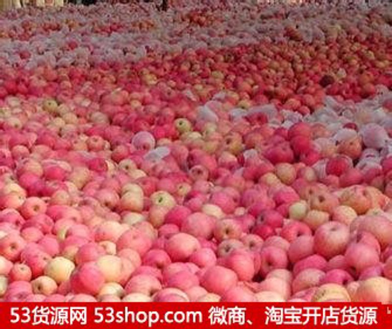 水果批发供应